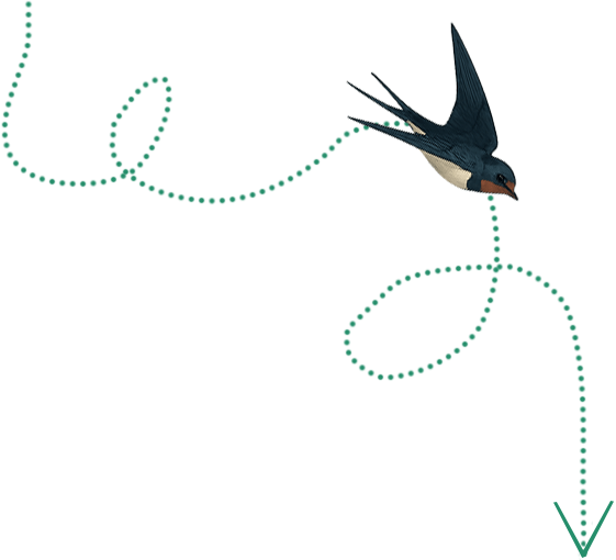 Bird flying down a dotted path