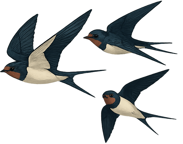 Flock of swallows