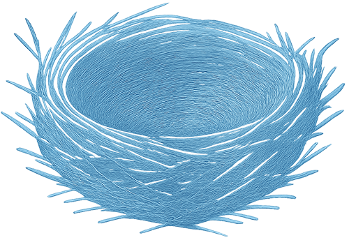 Nest