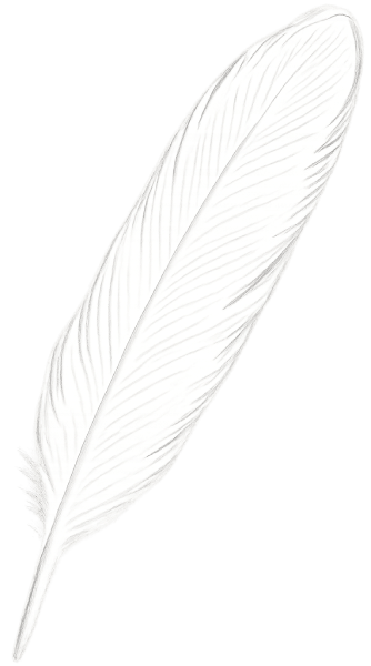 Feather illustration
